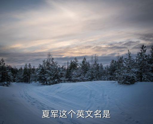 夏軍，夏軍這個英文名是