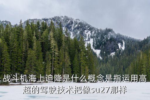 戰(zhàn)斗機(jī)海上迫降是什么概念是指運(yùn)用高超的駕駛技術(shù)把像su27那樣