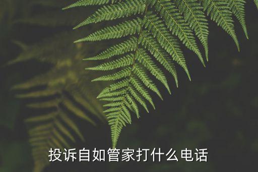 投訴自如管家打什么電話