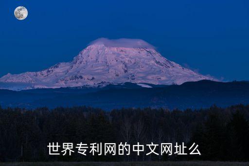 專利申請網(wǎng)站，世界專利網(wǎng)的中文網(wǎng)址么
