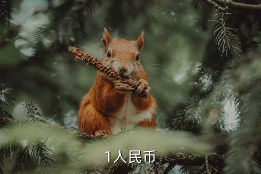 1人民幣