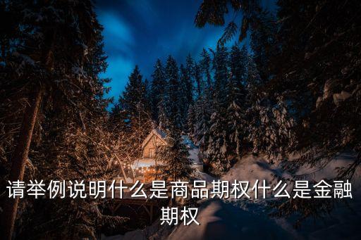 請舉例說明什么是商品期權(quán)什么是金融期權(quán)