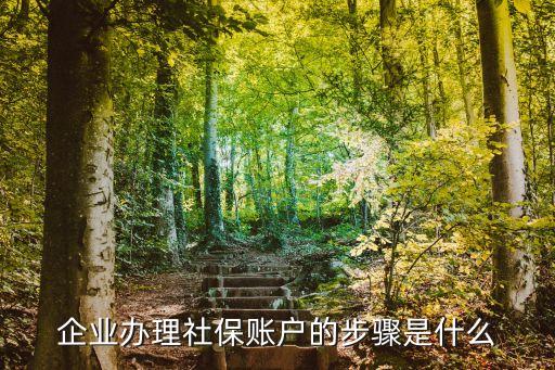 公司社保開戶流程，請問公司社保賬戶怎么開通