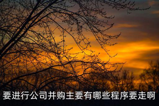 并購流程，要進(jìn)行公司并購主要有哪些程序要走啊