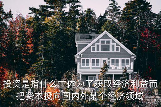投資主體是指什么，投資是指什么主體為了獲取經(jīng)濟(jì)利益而把資本投向國內(nèi)外某個經(jīng)濟(jì)領(lǐng)域