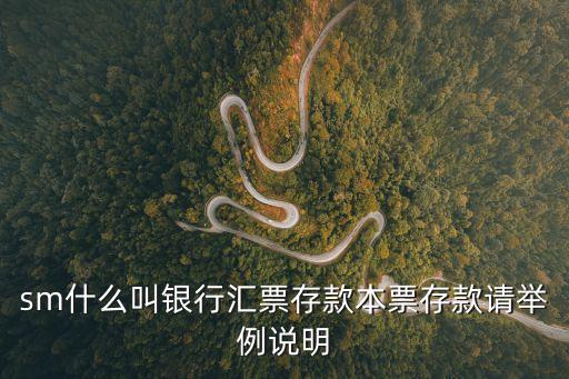 銀行匯票存款，什么是銀行匯票存款 用通俗的語言告訴我