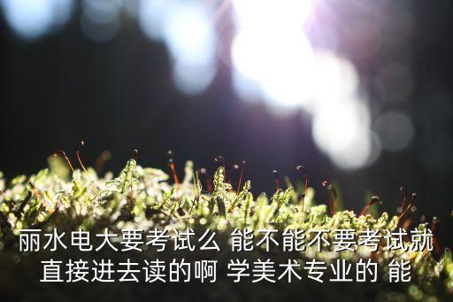 麗水電大要考試么 能不能不要考試就直接進去讀的啊 學美術專業(yè)的 能
