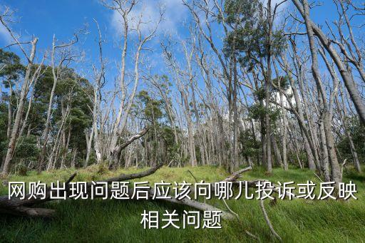 消費者投訴平臺，是消費者投訴中心96甚么5