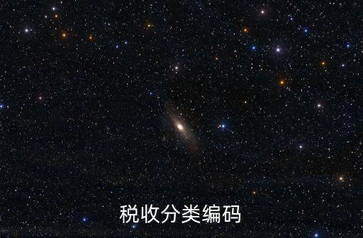 稅收分類編碼，增值稅普通發(fā)票開票軟件里的稅收分類編碼怎么寫