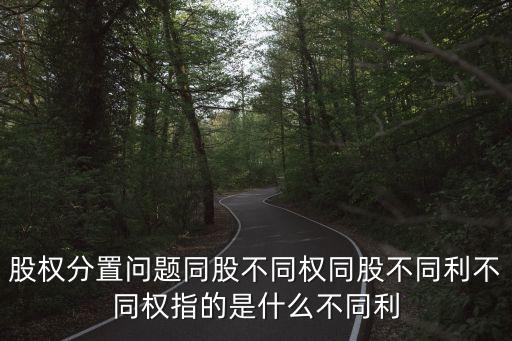 股權(quán)分置問(wèn)題同股不同權(quán)同股不同利不同權(quán)指的是什么不同利