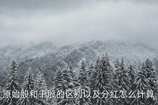 原始股和干股的區(qū)別以及分紅怎么計(jì)算