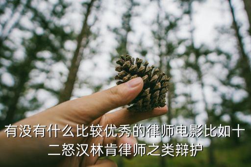 有沒有什么比較優(yōu)秀的律師電影比如十二怒漢林肯律師之類辯護(hù)