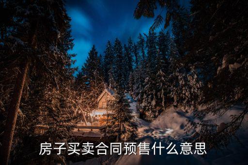 預(yù)售是什么意思，預(yù)售是什么意思