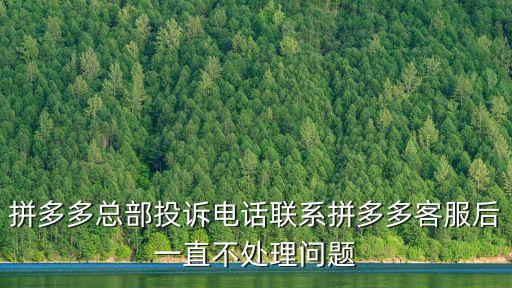 拼多多總部投訴電話聯(lián)系拼多多客服后一直不處理問(wèn)題