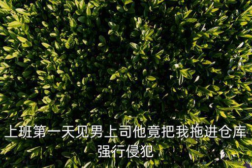 上班第一天見(jiàn)男上司他竟把我拖進(jìn)倉(cāng)庫(kù)強(qiáng)行侵犯