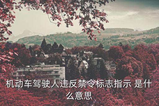 機動車駕駛?cè)诉`反禁令標(biāo)志指示 是什么意思