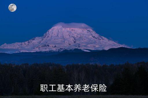 企業(yè)職工基本養(yǎng)老保險(xiǎn)，職工基本養(yǎng)老保險(xiǎn)