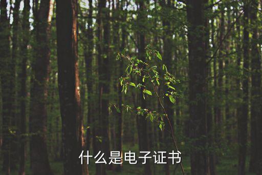 電子證書，什么是電子證書