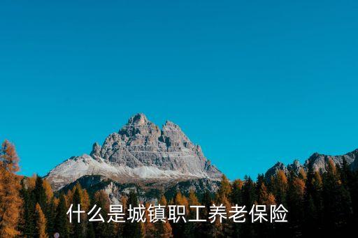 什么是城鎮(zhèn)職工養(yǎng)老保險(xiǎn)