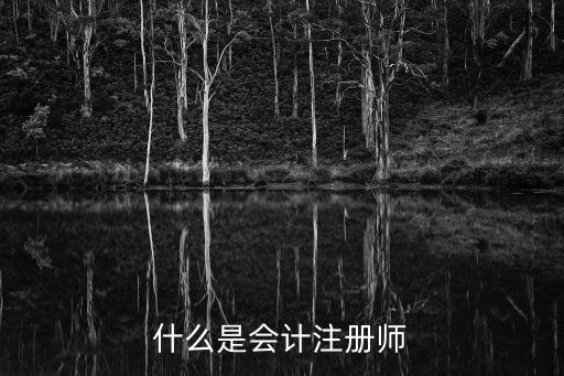 什么是會(huì)計(jì)注冊師