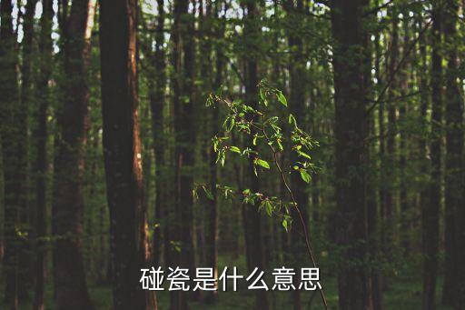 碰瓷的意思，現(xiàn)在專(zhuān)門(mén)有人在超市買(mǎi)未來(lái)得及下架的過(guò)期食品之類(lèi)的商品俗稱(chēng)碰瓷