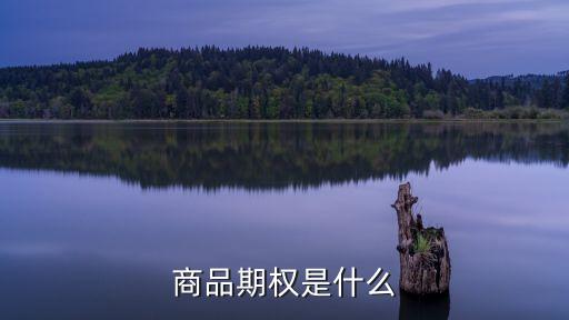 商品期權(quán)是什么