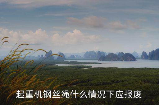 起重機(jī)鋼絲繩什么情況下應(yīng)報(bào)廢