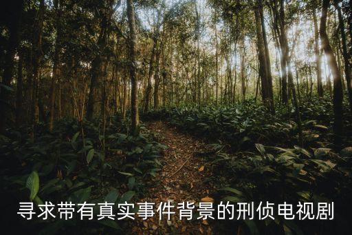 尋求帶有真實事件背景的刑偵電視劇