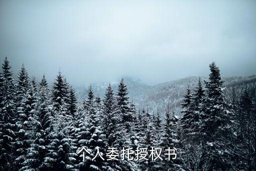 個(gè)人委托授權(quán)書