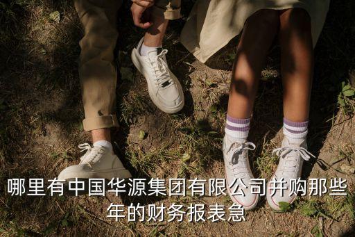 哪里有中國華源集團有限公司并購那些年的財務(wù)報表急