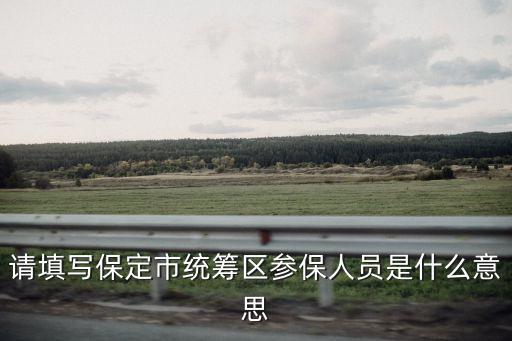 請(qǐng)?zhí)顚懕６ㄊ薪y(tǒng)籌區(qū)參保人員是什么意思