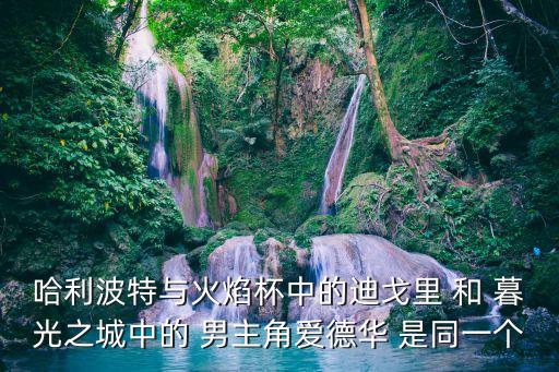 哈利波特與火焰杯中的迪戈里 和 暮光之城中的 男主角愛德華 是同一個(gè)