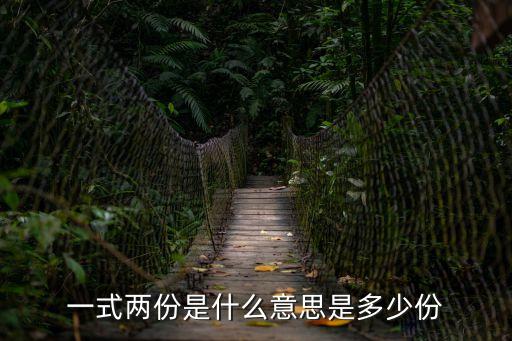 一式兩份是什么意思是多少份