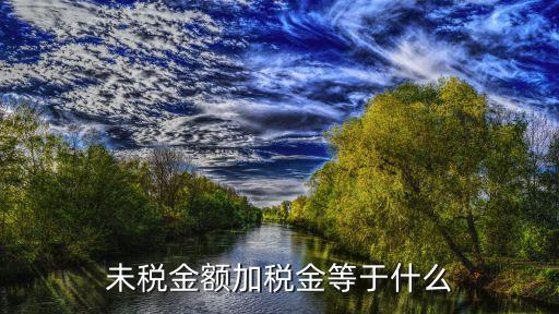 未稅金額加稅金等于什么