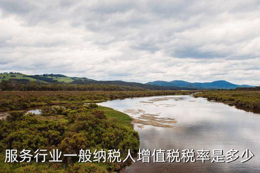 服務(wù)業(yè)增值稅稅率，服務(wù)業(yè)增值稅發(fā)票稅率是多少