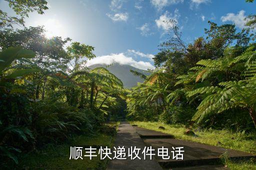 順風(fēng)客服，順風(fēng)的電話是多少