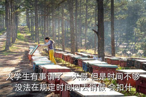 銷假是什么意思，摻假是什么意思