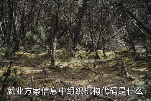 就業(yè)方案信息中組織機構代碼是什么