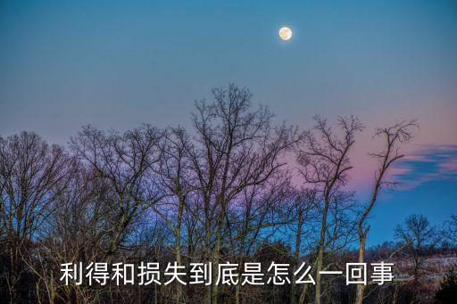 利得和損失到底是怎么一回事