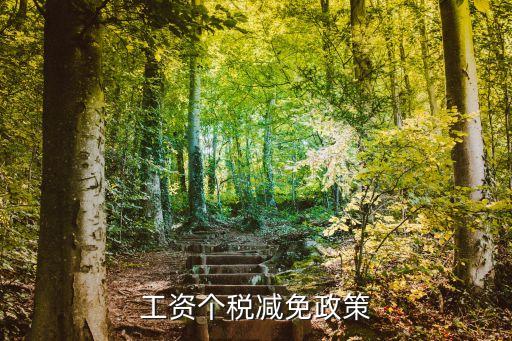 個稅優(yōu)惠政策，針對個稅的減稅政策有哪些