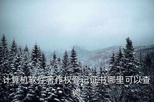 計(jì)算機(jī)軟件著作權(quán)登記證書(shū)哪里可以查詢