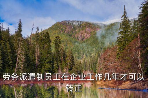 勞務(wù)派遣八年必須轉(zhuǎn)正，用人單位連續(xù)一定時(shí)期使用同一勞務(wù)派遣人員必須將其轉(zhuǎn)為正式工