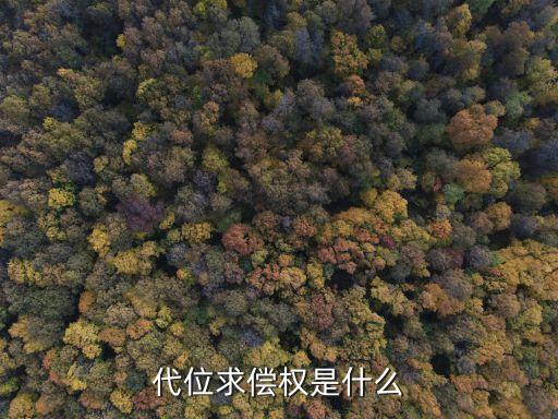 代位求償權(quán)，什么是代位求償權(quán)