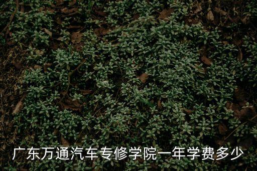 廣東萬通汽車專修學(xué)院一年學(xué)費(fèi)多少