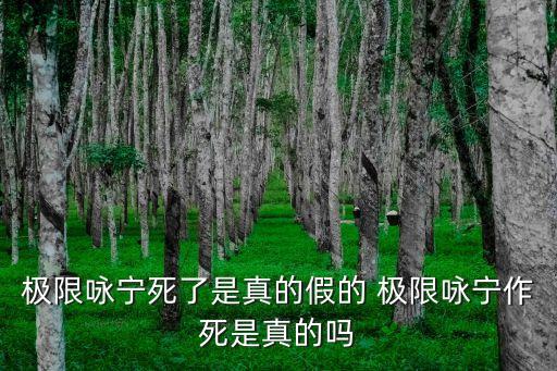 極限詠寧死了是真的假的 極限詠寧作死是真的嗎