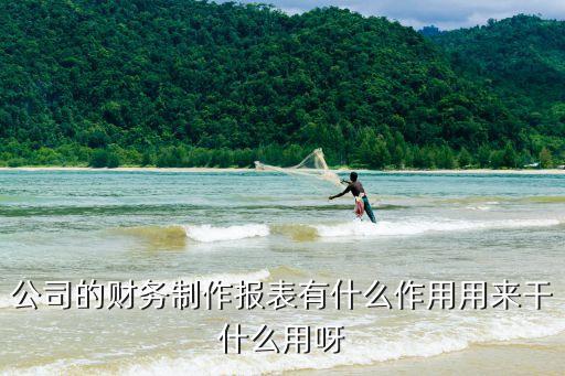 財(cái)務(wù)報(bào)表的作用，財(cái)務(wù)報(bào)表的具體作用包括哪些方面