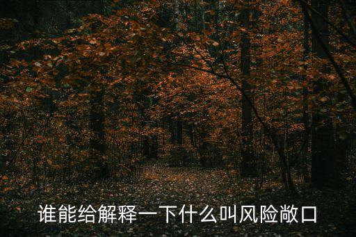 誰能給解釋一下什么叫風(fēng)險(xiǎn)敞口