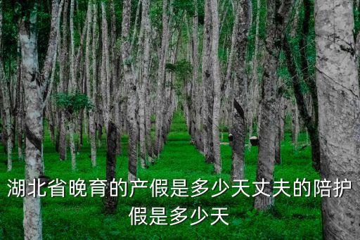 湖北產(chǎn)假，湖北產(chǎn)假多少天