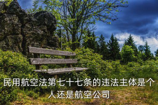 民用航空法第七十七條的違法主體是個(gè)人還是航空公司