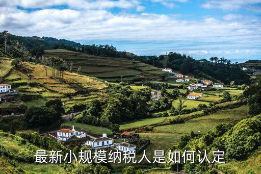 小規(guī)模，一般納稅人和小規(guī)模納稅人的區(qū)別在哪兒